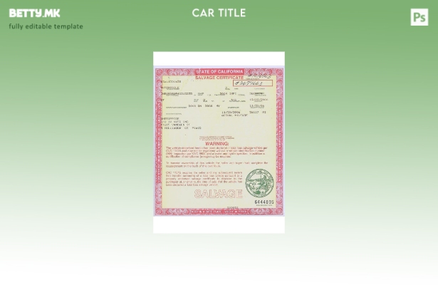 Модерен стил шаблон за сертификат за спасување во САД Калифорнија